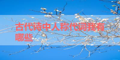 古代诗中人称代词我有哪些 