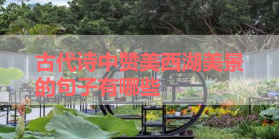 古代诗中赞美西湖美景的句子有哪些 