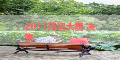 2017诗词大赛 决赛 