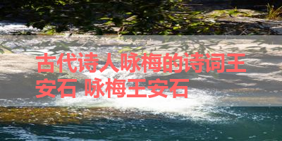 古代诗人咏梅的诗词王安石 咏梅王安石