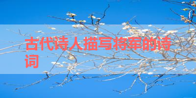 古代诗人描写将军的诗词 