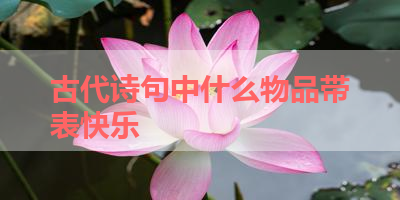 古代诗句中什么物品带表快乐 