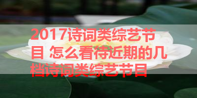 2017诗词类综艺节目 怎么看待近期的几档诗词类综艺节目 