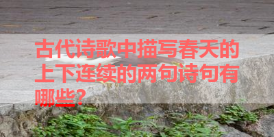 古代诗歌中描写春天的上下连续的两句诗句有哪些？ 