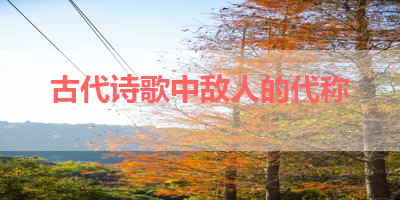 古代诗歌中敌人的代称 