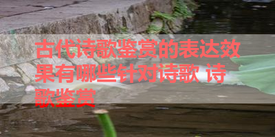 古代诗歌鉴赏的表达效果有哪些针对诗歌 诗歌鉴赏