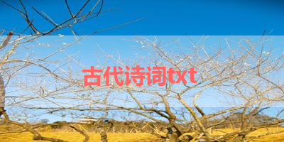 古代诗词txt 