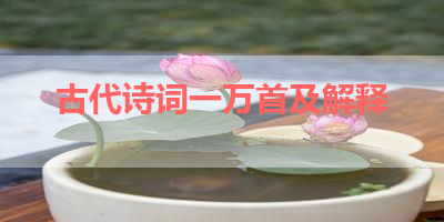 古代诗词一万首及解释 