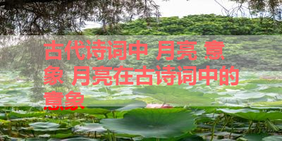 古代诗词中 月亮 意象 月亮在古诗词中的意象