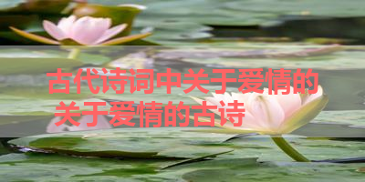 古代诗词中关于爱情的 关于爱情的古诗 