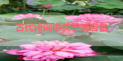 古代诗词中关于饭店名 
