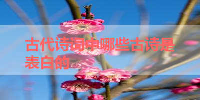 古代诗词中哪些古诗是表白的 