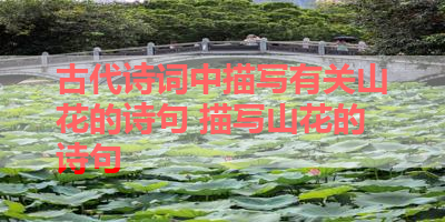 古代诗词中描写有关山花的诗句 描写山花的诗句 