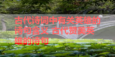 古代诗词中有关英雄的诗句含义 古代赞美英雄的诗句