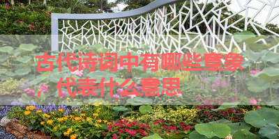 古代诗词中有哪些意象，代表什么意思 