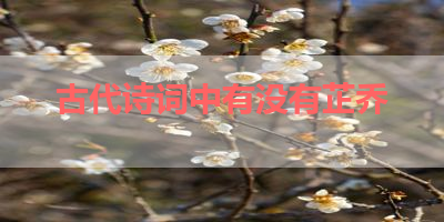古代诗词中有没有芷乔 