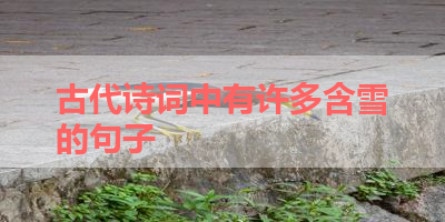 古代诗词中有许多含雪的句子 