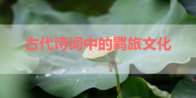 古代诗词中的羁旅文化 