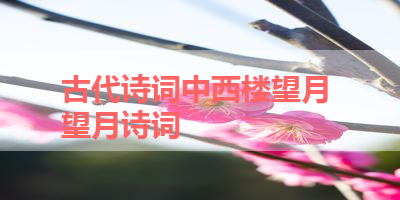 古代诗词中西楼望月 望月诗词