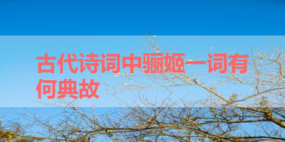 古代诗词中骊姬一词有何典故 