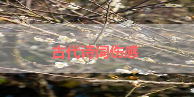古代诗词伤感 