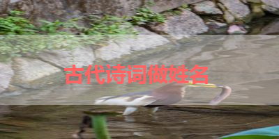 古代诗词做姓名 