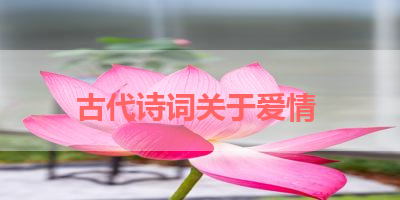 古代诗词关于爱情 