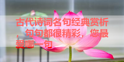 古代诗词名句经典赏析，句句都很精彩，您最爱哪一句 