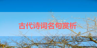 古代诗词名句赏析 