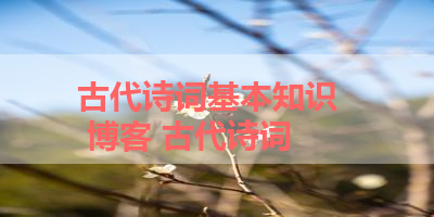 古代诗词基本知识   博客 古代诗词