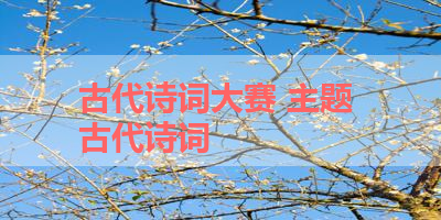 古代诗词大赛 主题 古代诗词