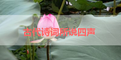古代诗词所说四声 