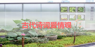 古代诗词爱情观 