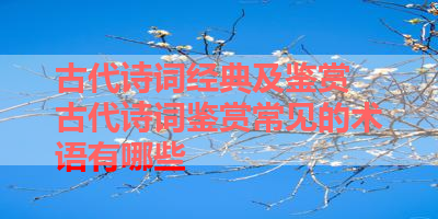 古代诗词经典及鉴赏 古代诗词鉴赏常见的术语有哪些 