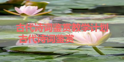 古代诗词鉴赏教学计划 古代诗词鉴赏