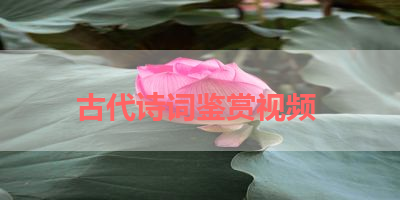 古代诗词鉴赏视频 