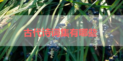 古代诗词集有哪些 