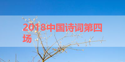 2018中国诗词第四场 