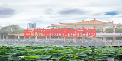 古代贺新婚的诗词 