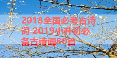2018全国必考古诗词 2019小升初必备古诗词80首