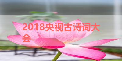 2018央视古诗词大会 