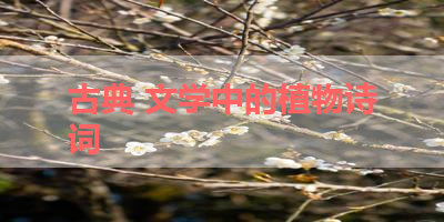 古典 文学中的植物诗词 