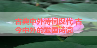 古典中外诗词现代 古今中外的爱国诗词
