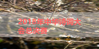 2018年中华诗词大会总决赛 