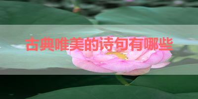 古典唯美的诗句有哪些 