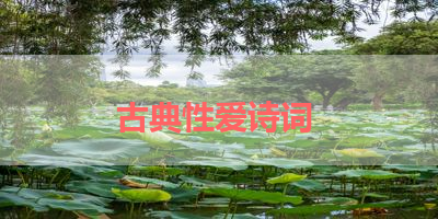 古典性爱诗词 