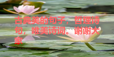 古典美的句子，哲理诗句，唯美诗词。谢谢大家 