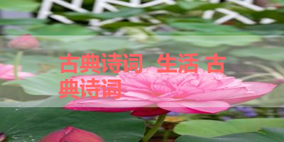 古典诗词  生活 古典诗词