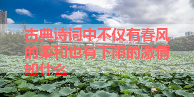 古典诗词中不仅有春风的柔和也有下雨的激情如什么 