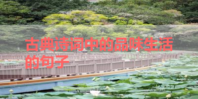 古典诗词中的品味生活的句子 